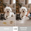 Nice Care Spray tira-n&oacute;doas para c&atilde;es e gatos, , large Indicador imagem n&uacute;mero 4