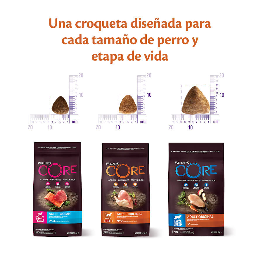 5 kg Wellness Core Adult Small Original Peru e Frango ra&ccedil;&atilde;o para c&atilde;es, , large Imagem n&uacute;mero 3
