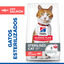 10 kg Ração Hill's Science Plan Sterilised Adult Ração de salmão para gatos, , large Indicador imagem número 2