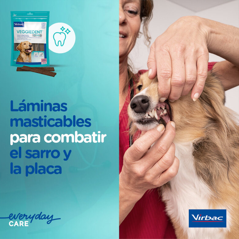15 sticks Virbac Snacks Dentários Veggiedent Fresh para cães de raça grande,  Imagem número 5 15 sticks Virbac Snacks Dentários Veggiedent Fresh para cães de raça grande, , large Imagem número 5