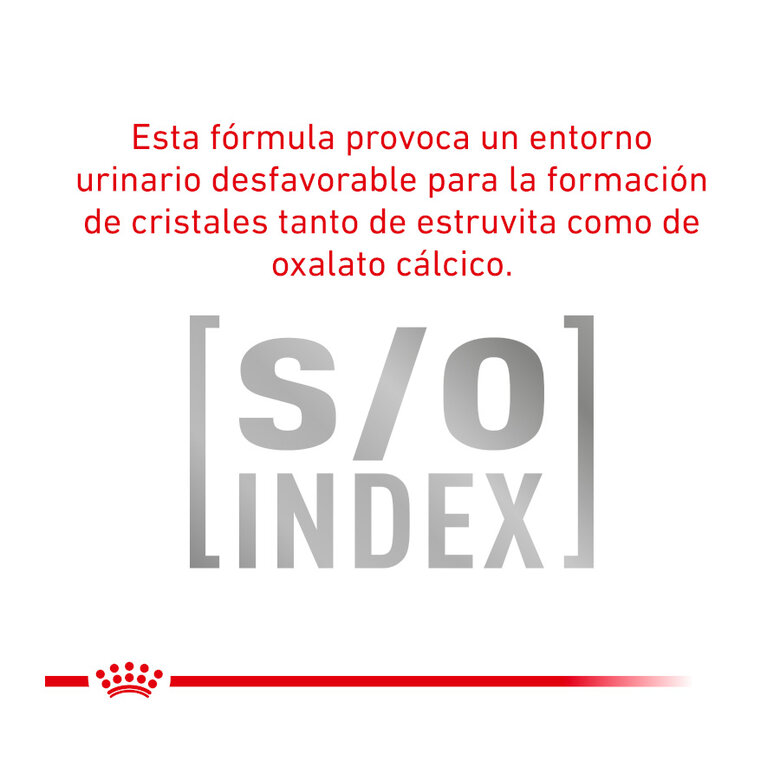 9 kg Royal Canin Veterinary Urinary Moderate Calorie ração para gatos ,  Imagem número 6 9 kg Royal Canin Veterinary Urinary Moderate Calorie ração para gatos , , large Imagem número 6
