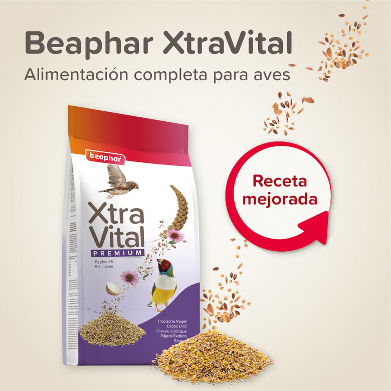 Mistura de sementes Beaphar XtraVital Premium para aves exóticas,  Imagem número 2 Mistura de sementes Beaphar XtraVital Premium para aves exóticas, , large Imagem número 2