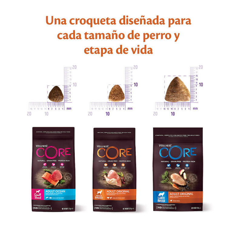 Wellness Core Adult Small Healthy Peru ração para cães , , large image number null