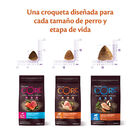 Wellness Core Adult Small Healthy Peru ração para cães , , large image number null