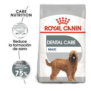Royal Canin Maxi Dental Care ração para cães
