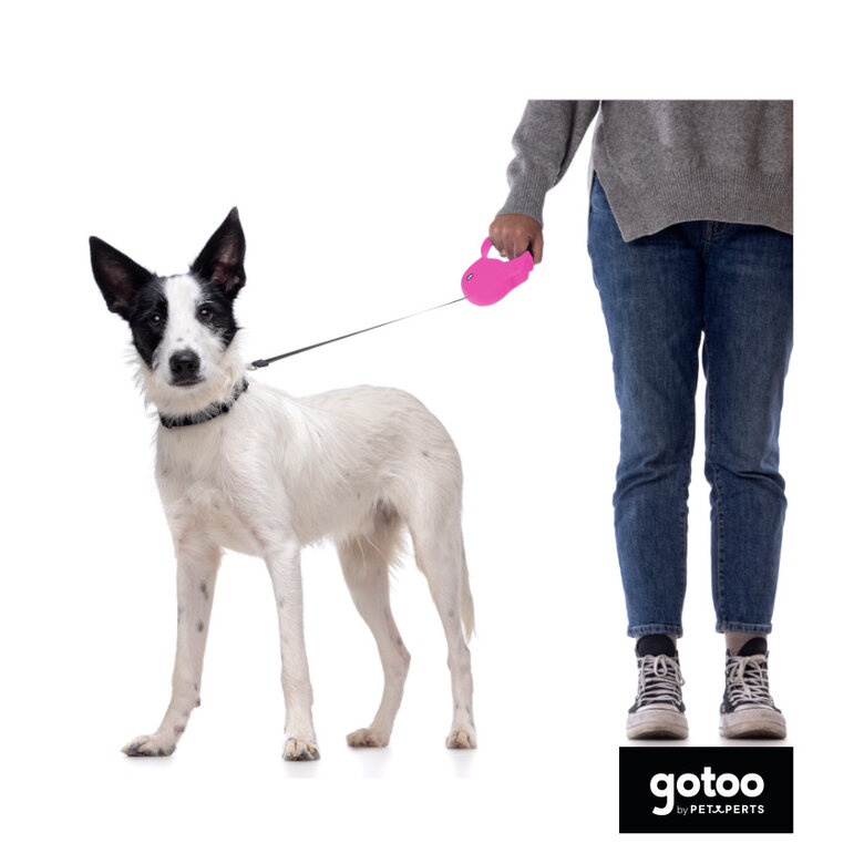 Gotoo Trela extensível rosa para cães,  Imagem número 3 Gotoo Trela extensível rosa para cães, , large Imagem número 3