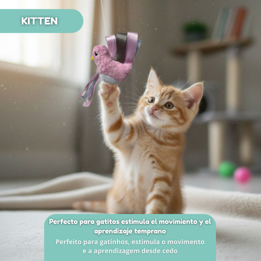 Tootoy! Kitten Peluche P&aacute;ssaro com la&ccedil;o para gatos, , large Imagem n&uacute;mero 5