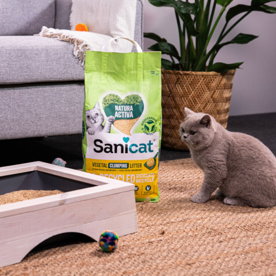 10 L Sanicat Natura Activa Recycled Areia para gatos, , large Imagem n&uacute;mero 5