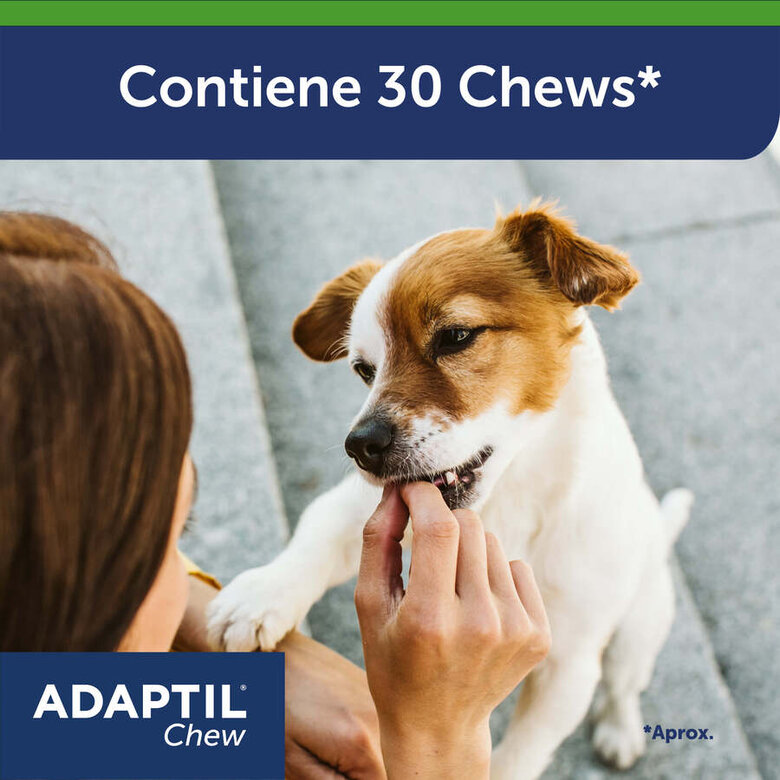 30 comprimidos Adaptil Chew Comprimidos Relaxantes para o stress ocasional dos cães,  Imagem número 2 30 comprimidos Adaptil Chew Comprimidos Relaxantes para o stress ocasional dos cães, , large Imagem número 2