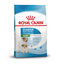 Royal Canin Mini Starter MothereBaby ração para cães, , large Indicador imagem número 1