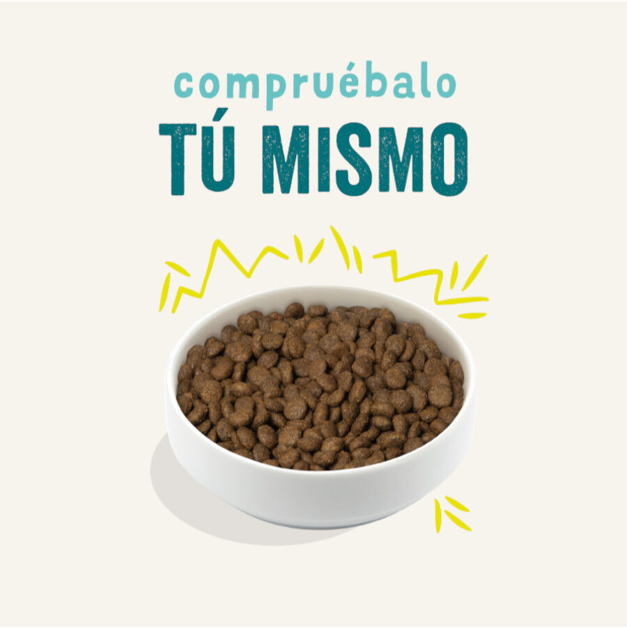 7 kg Edgard & Cooper Ra&ccedil;&atilde;o de cenoura e curgete para c&atilde;es, , large Imagem n&uacute;mero 2