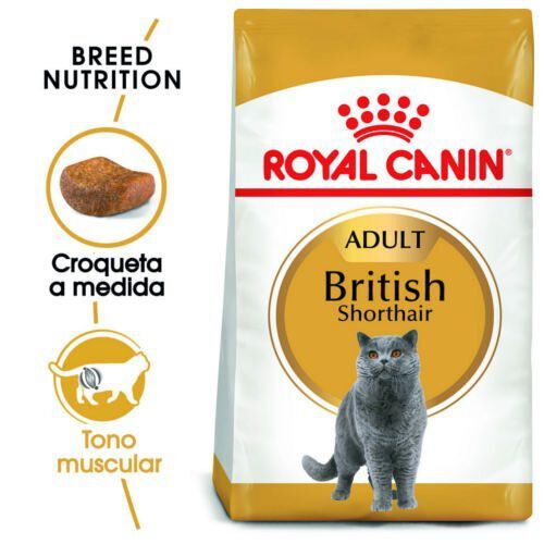 10 kg Royal Canin Adult British Shorthair ra&ccedil;&atilde;o para gatos, , large Imagem n&uacute;mero 2