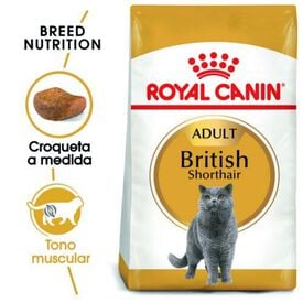 Royal Canin Adult British Shorthair ração para gatos