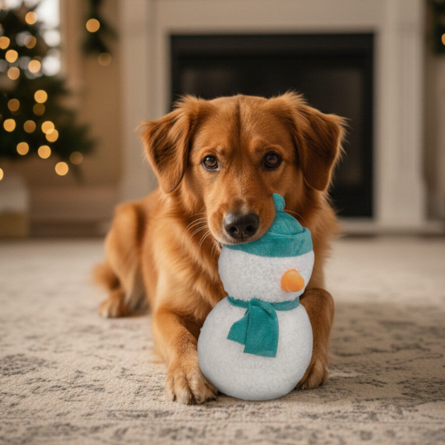 Wonder Christmas Peluche Boneco de Neve Natal&iacute;cio para C&atilde;es, , large Imagem n&uacute;mero 3