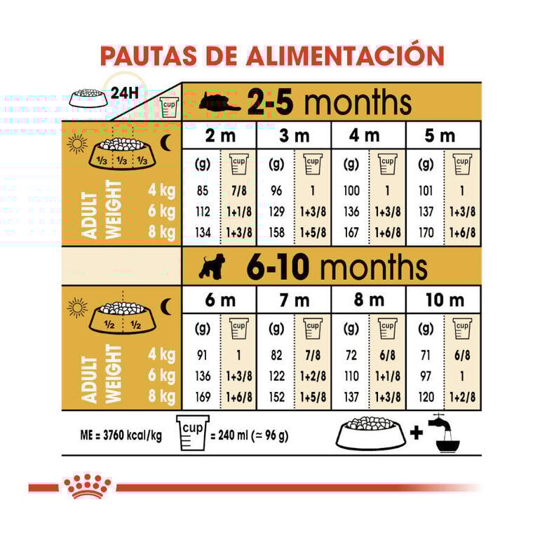 1.5 kg Royal Canin Puppy Miniature Schnauzer ra&ccedil;&atilde;o para c&atilde;es , , large Imagem n&uacute;mero 2