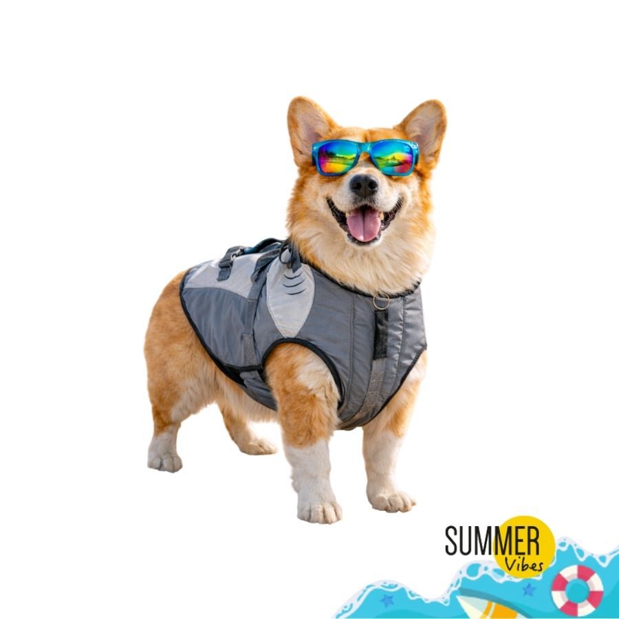 Colete salva-vidas Summer Vibes Shark para c&atilde;es, , large Imagem n&uacute;mero 8