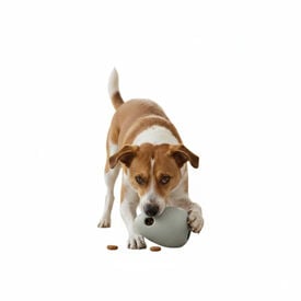 BECO Mordedor verde anti-stress para c&atilde;es