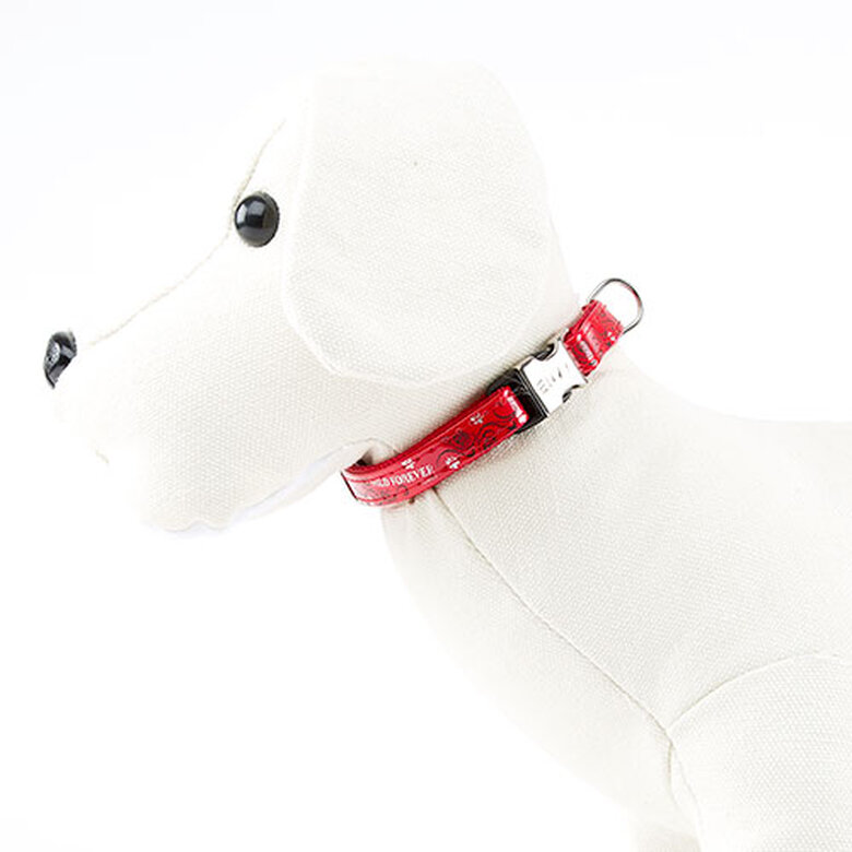 Envy Wild Forever Coleira vermelha para cães,  Imagem número 1 Envy Wild Forever Collar para perros color rojo Imagem número 1