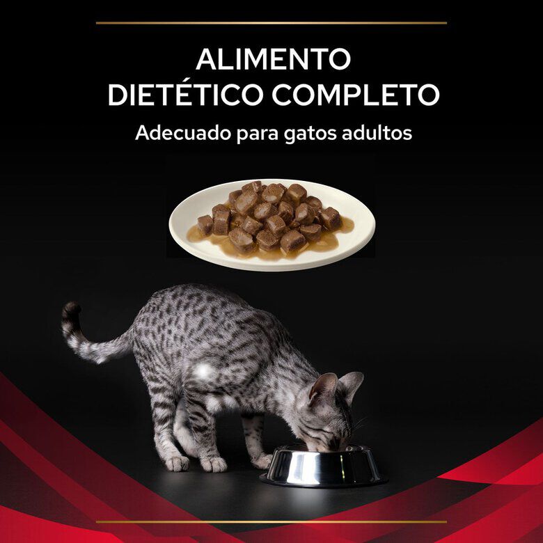 10 saquetas x 85 g Pro Plan Veterinary Diets DM saquetas para gatos , , large Imagem n&uacute;mero 4