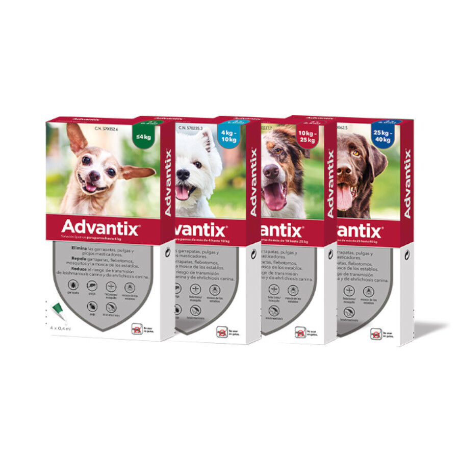 0-4 kg (1 ud.) Advantix Pipetas Antiparasit&aacute;rias para c&atilde;es, , large Imagem n&uacute;mero 5