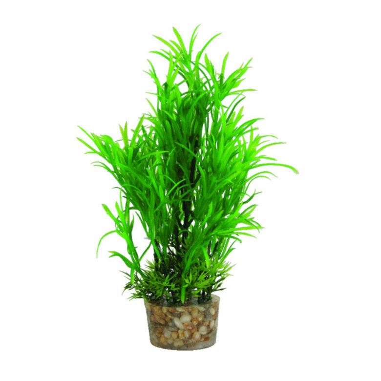 Zolux Medium T1 Planta Artificial para aquários, , large image number null