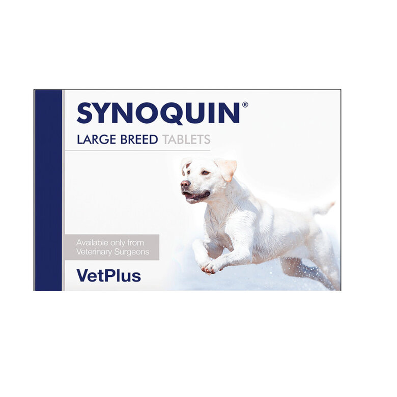 VetPlus Synoquin EFA Condroprotetor em Comprimidos para cães de raças grandes,  Imagem número 1 VetPlus Synoquin EFA Condroprotetor em Comprimidos para cães de raças grandes, , large Imagem número 1