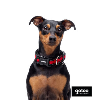 Gotoo Coleira Malha vermelha para cães