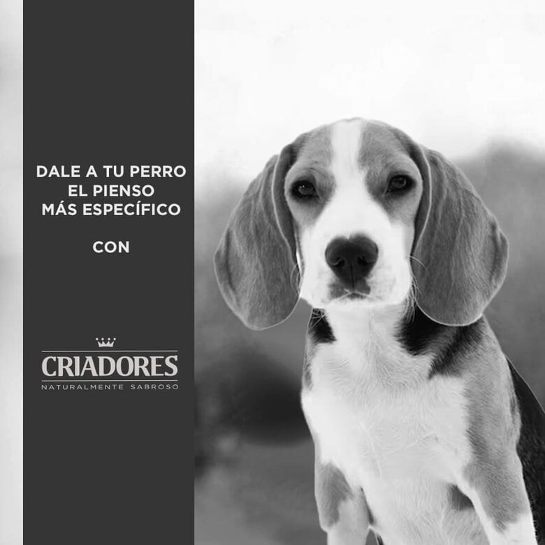 12 kg Criadores Dietetic Obesity Adulto ração para cães,  Imagem número 4 12 kg Criadores Dietetic Obesity Adulto ração para cães, , large Imagem número 4
