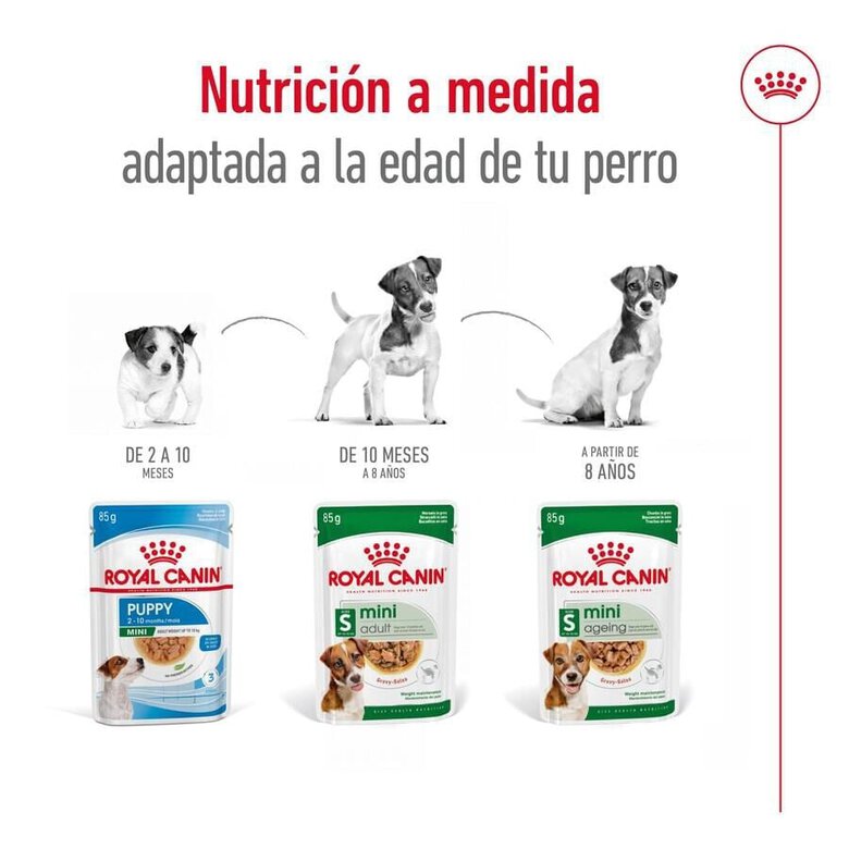 85 g Royal Canin Mini Adult saqueta em molho para cães,  Imagem número 5 85 g Royal Canin Mini Adult saqueta em molho para cães, , large Imagem número 5