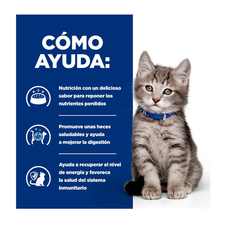 12 latas x 85 g Hill's Prescription Diet I/D Digestive Care Kitten Comida húmida de frango em lata para gatinhos,  Imagem número 4 12 latas x 85 g Hill's Prescription Diet I/D Digestive Care Kitten Comida húmida de frango em lata para gatinhos, , large Imagem número 4