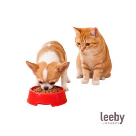 Leeby Comedouro de Pl&aacute;stico Vermelho para c&atilde;es e gatos