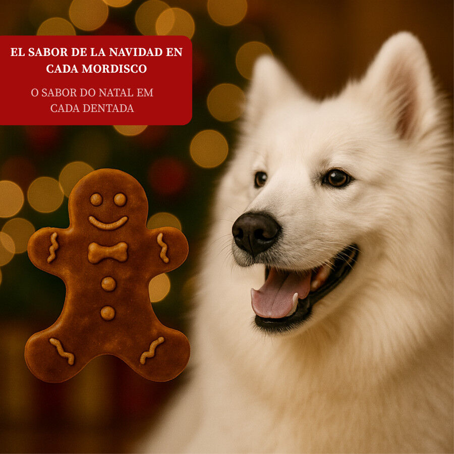 75 g  Wonder Christmas Biscoito de gengibre para c&atilde;es, , large Imagem n&uacute;mero 4