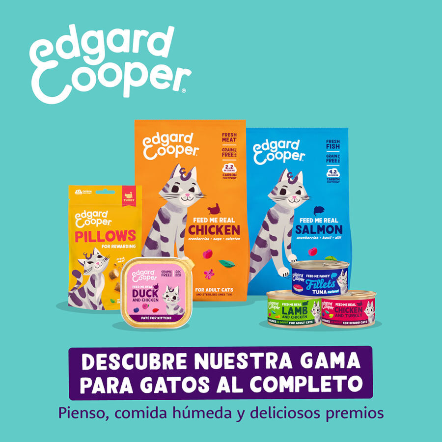 4 pacotes x 60 g Edgard & Cooper Pillows Snack de salm&atilde;o para gatos Pack Poupan&ccedil;a!, , large Imagem n&uacute;mero 8