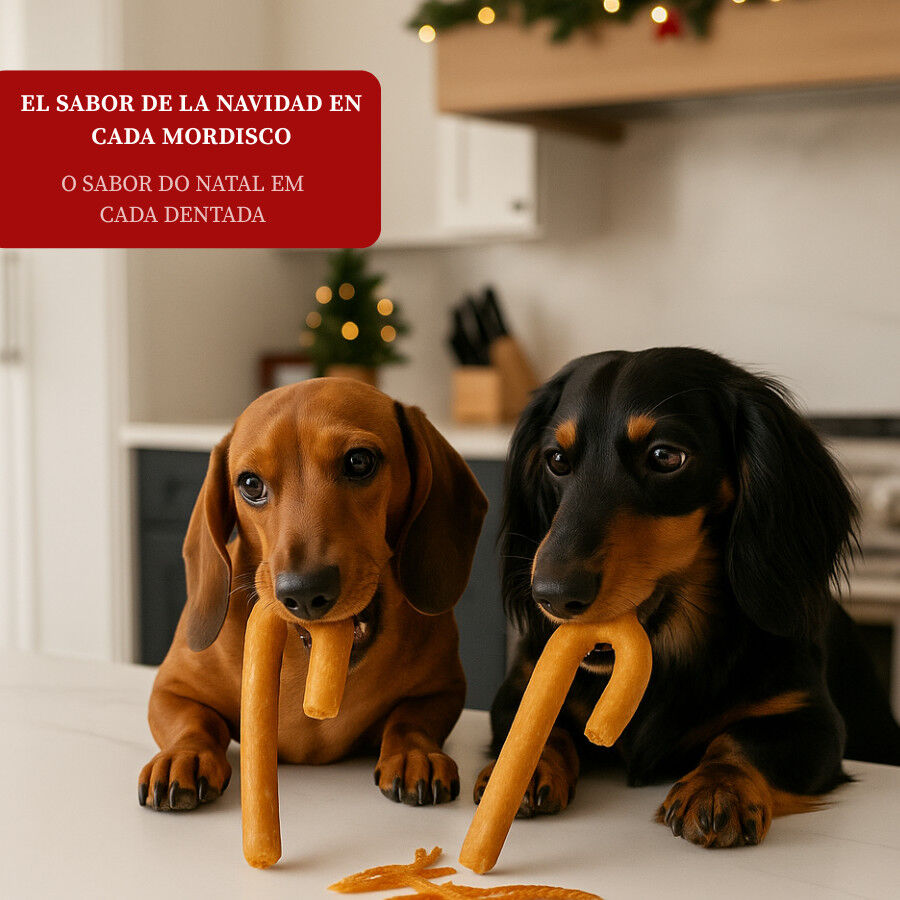2 snacks Wonder Christmas Snack de Natal para c&atilde;es, , large Imagem n&uacute;mero 4
