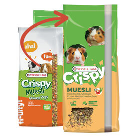 Versele-Laga Crispy Muesli Ra&ccedil;&atilde;o para Porquinhos da &Iacute;ndia