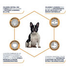 pienso_perros_affinity_advance_adult_french_bulldog_beneficios_ADV500749_M.jpg image number null