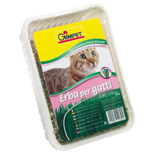 GimPet Grama Gatera em Bandeja