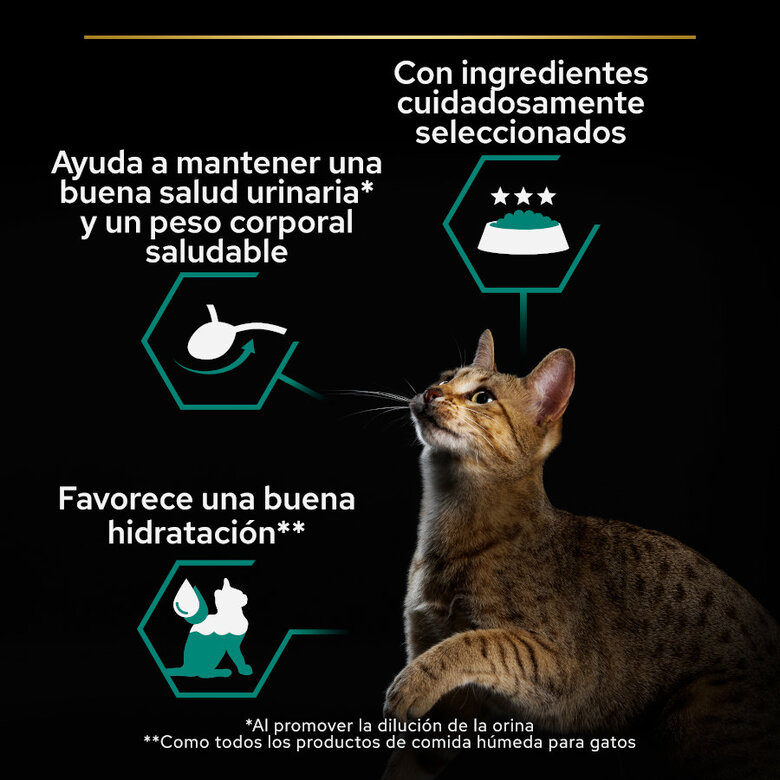 12 latas x 85 g Pro Plan Adult Sterilised Maintenance Alimento húmido de salmão e atum em lata para gatos,  Imagem número 4 12 latas x 85 g Pro Plan Adult Sterilised Maintenance Alimento húmido de salmão e atum em lata para gatos, , large Imagem número 4