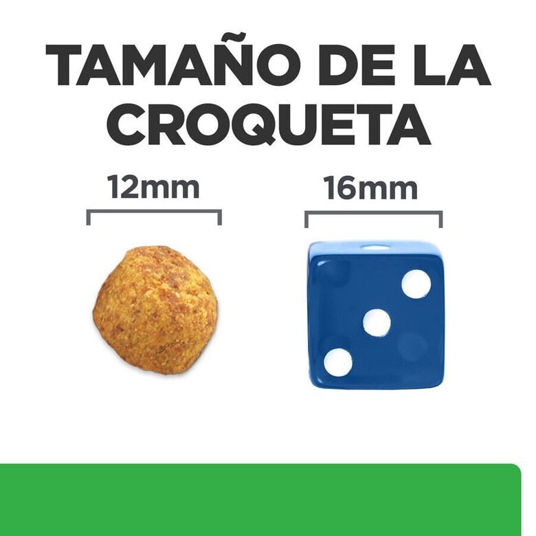 10 kg Hill's Prescription Diet Weight Loss r/d Frango ração para cães,  Imagem número 7 10 kg Hill's Prescription Diet Weight Loss r/d Frango ração para cães, , large Imagem número 7