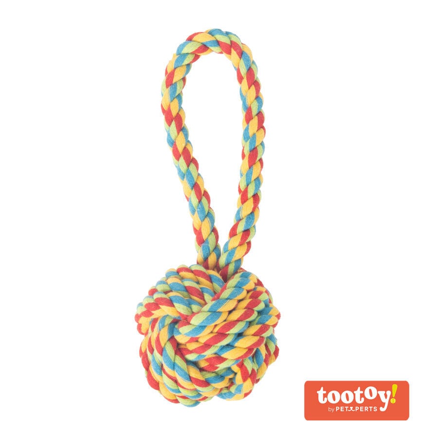 Tootoy! Pull Handle Rope Ball Multicolor bola com corda e pega para c&atilde;es, , large Imagem n&uacute;mero 3