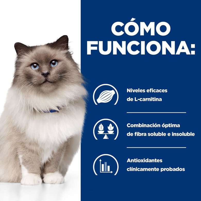 3 kg Hill's Prescription Diet r/d Weight Loss Frango ração para gatos,  Imagem número 3 3 kg Hill's Prescription Diet r/d Weight Loss Frango ração para gatos, , large Imagem número 3