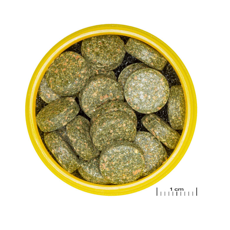 JBL Pronovo Botia Tablets M Alimento em comprimidos para Botias de 1-20 cm,  Imagem número 2 JBL Pronovo Botia Tablets M Alimento em comprimidos para Botias de 1-20 cm, , large Imagem número 2