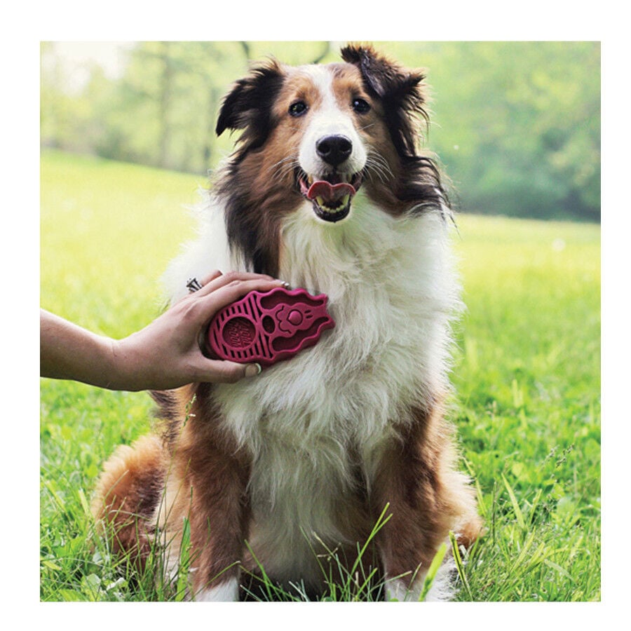 Kong Zoom Groom Escova de goma para c&atilde;es, , large Imagem n&uacute;mero 2