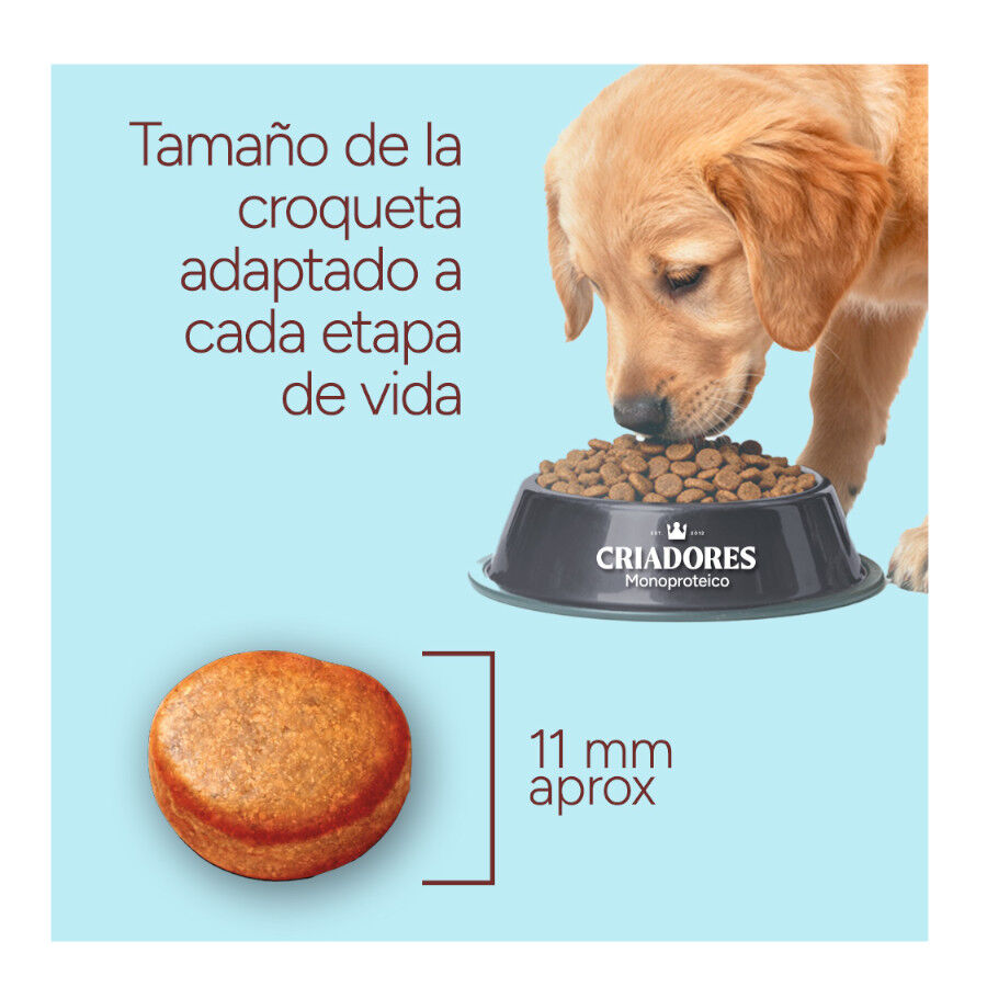 2 x 10 kg Criadores Monoproteico Light -40% conte&uacute;do gordo Adulto com Frango Ra&ccedil;&atilde;o para C&atilde;es, , large Imagem n&uacute;mero 8