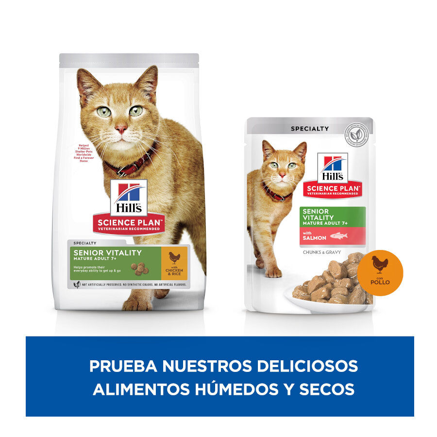 12 saquetas x 85 g Hill's Science Plan Senior Vitality Sach&ecirc; de frango e salm&atilde;o em molho para gatos, , large Imagem n&uacute;mero 3