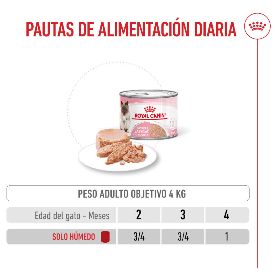 195 g Royal Canin Mother Baby mousse latas para gatos, , large Imagem n&uacute;mero 8