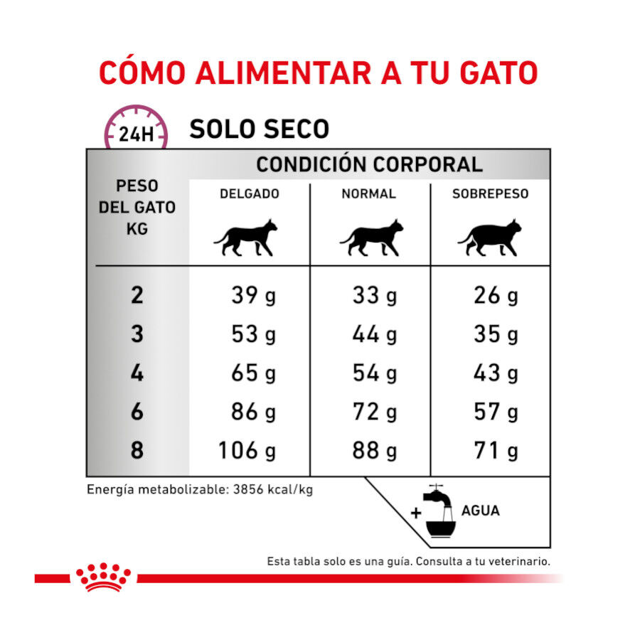 2 kg Royal Canin Veterinary Mobility ra&ccedil;&atilde;o para gatos, , large Imagem n&uacute;mero 8