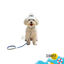 Summer Vibes Pack Trela e Coleira Dolce Vita para C&atilde;es, , large Indicador imagem n&uacute;mero 1