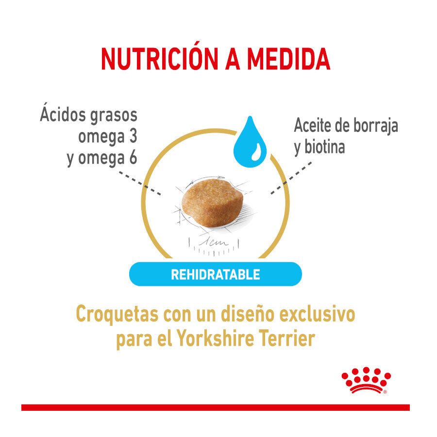 1.5 kg Royal Canin Adult 8+ Yorkshire ra&ccedil;&atilde;o para c&atilde;es, , large Imagem n&uacute;mero 4