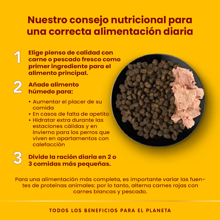 280 g Almo Nature HFC vitela lata para c&atilde;es, , large Imagem n&uacute;mero 4